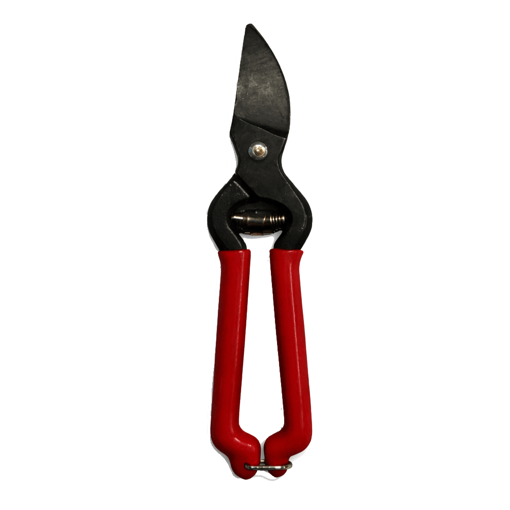 Weinbergsschere 17 cm gebogen für Rechtshänder und Traubenlese