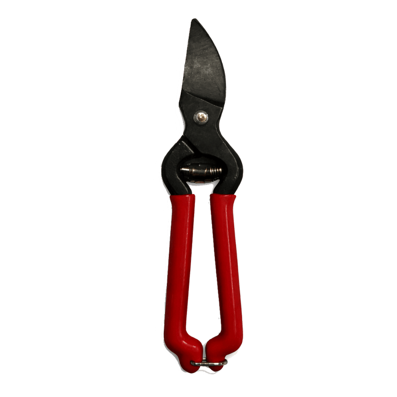 Weinbergsschere 17 cm gebogen für Rechtshänder und Traubenlese