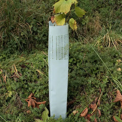 Der Rebschützer Witah Light schützt vor Wildbiss.